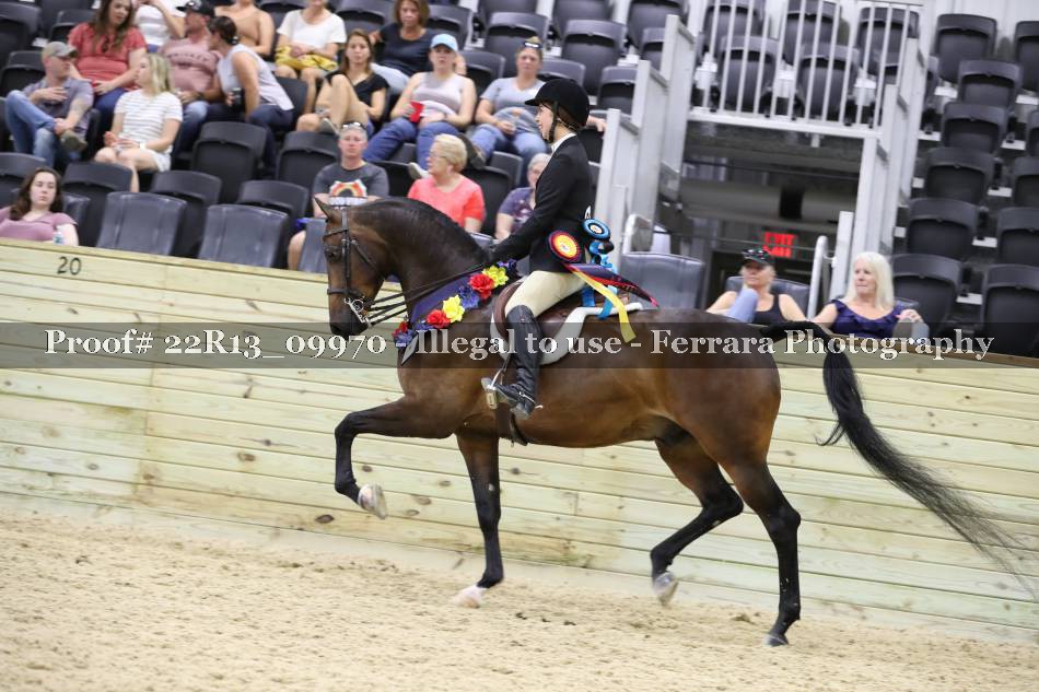 Proof 22R13_09970