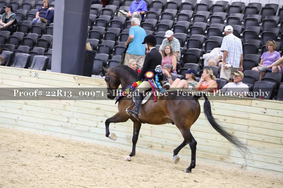 Proof 22R13_09971