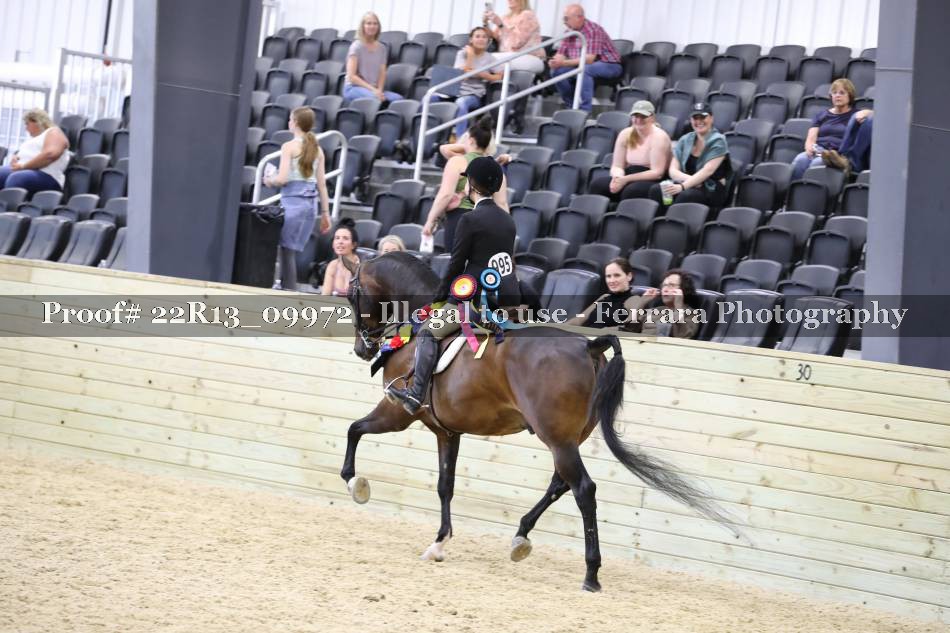 Proof 22R13_09972