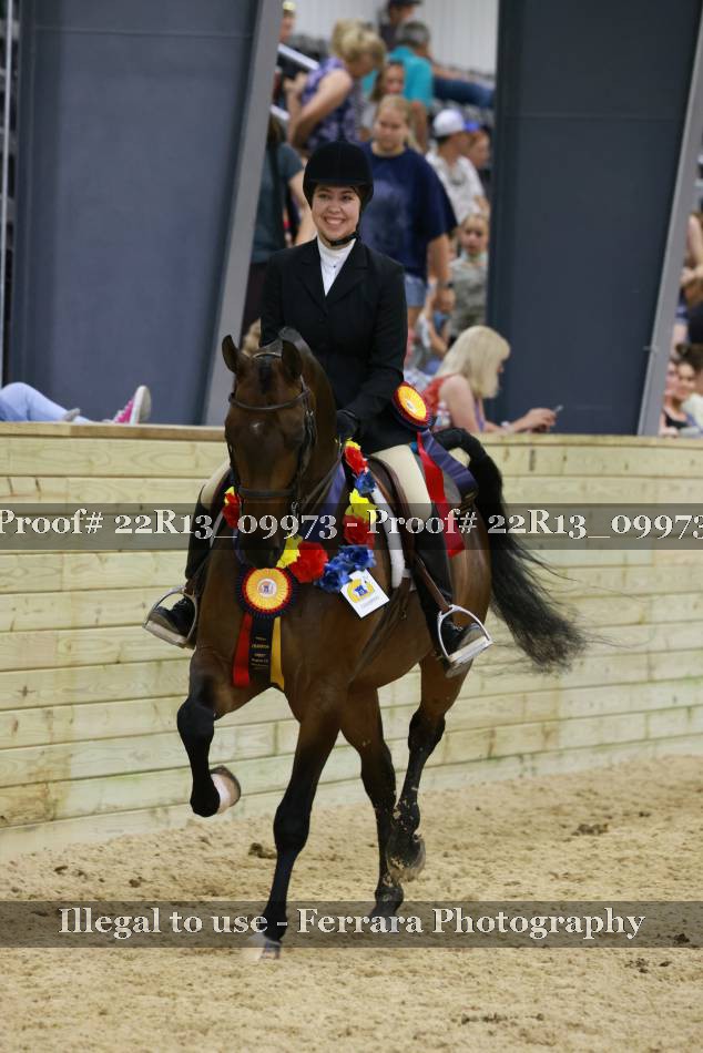 Proof 22R13_09973