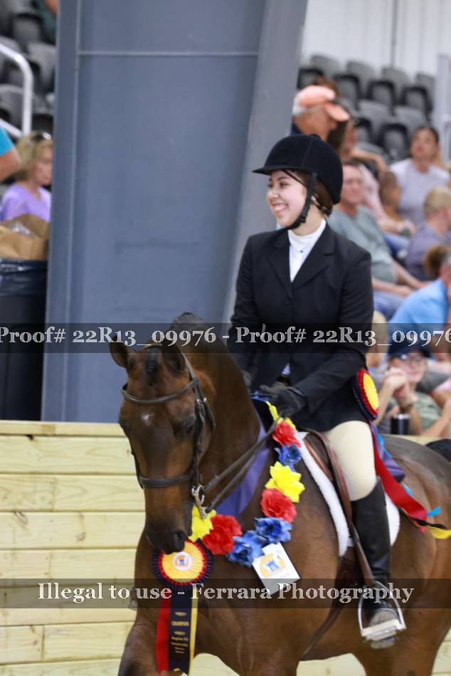 Proof 22R13_09976