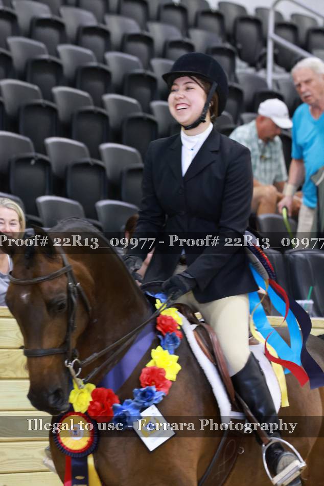 Proof 22R13_09977