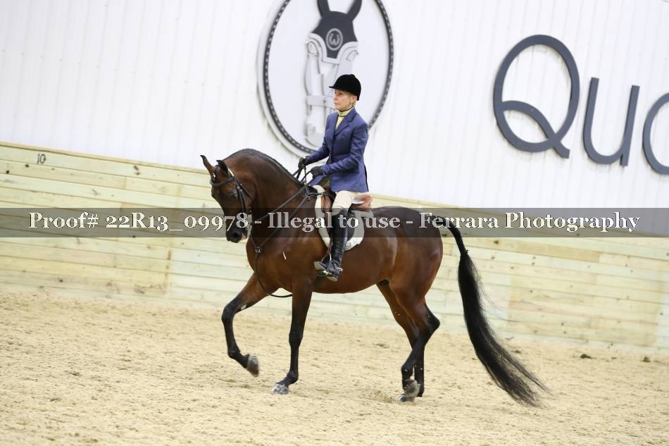Proof 22R13_09978