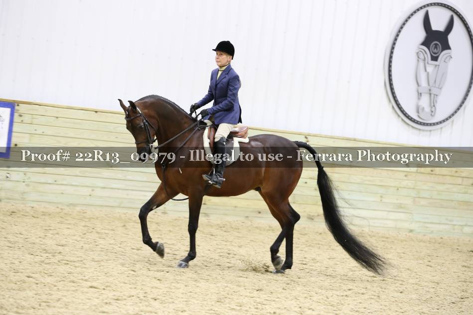 Proof 22R13_09979