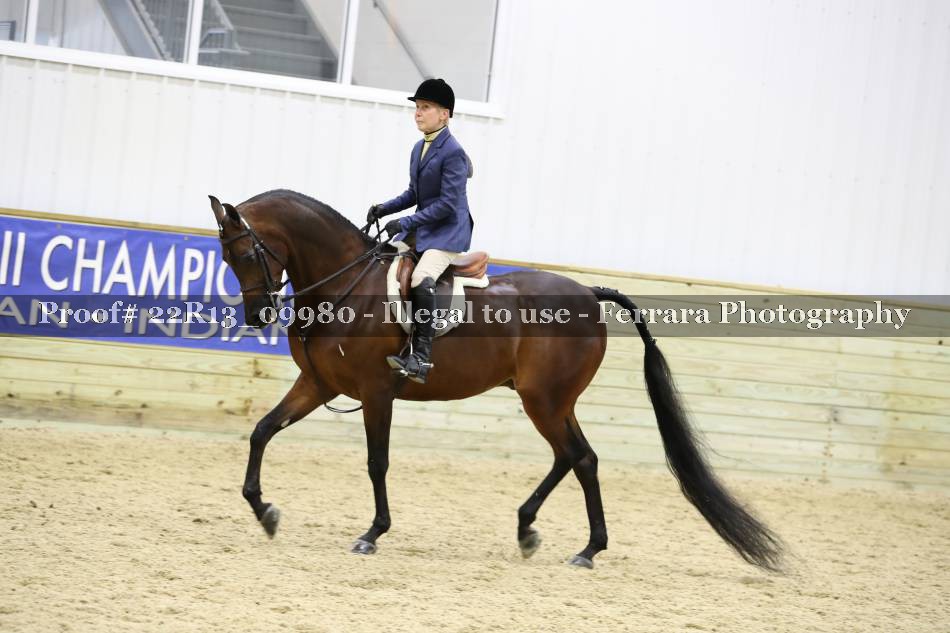Proof 22R13_09980