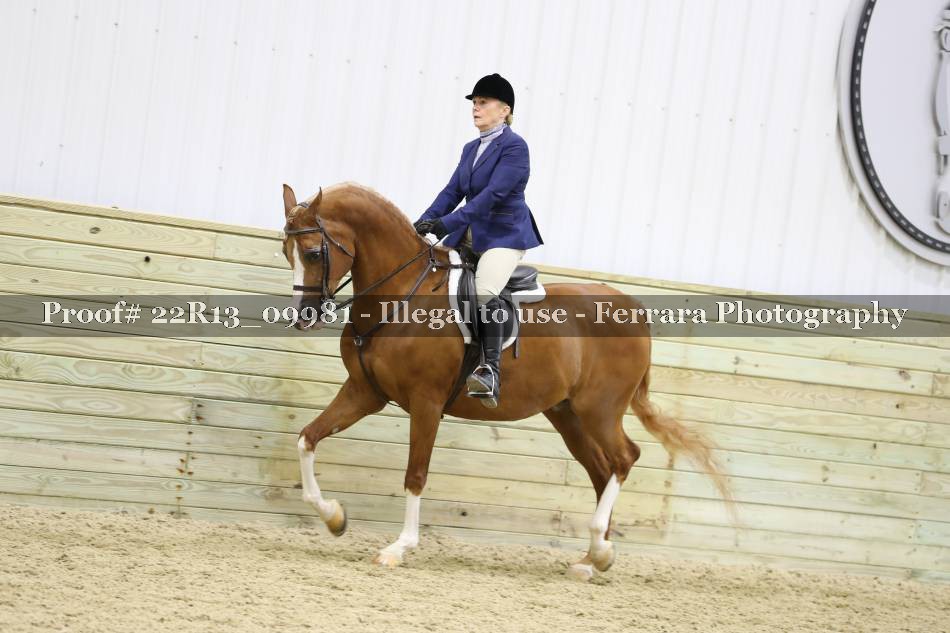 Proof 22R13_09981