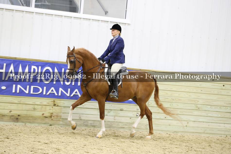 Proof 22R13_09982