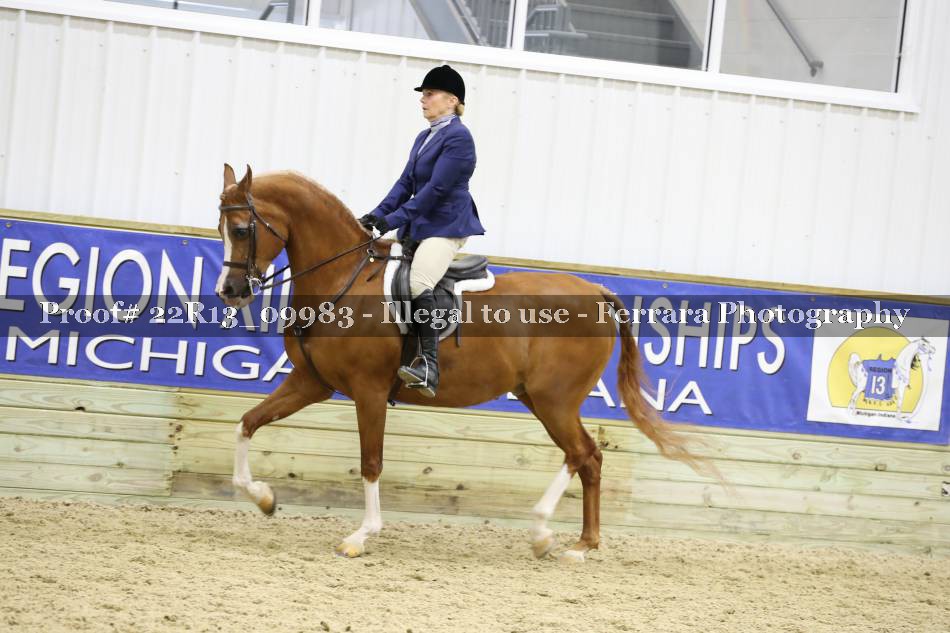 Proof 22R13_09983