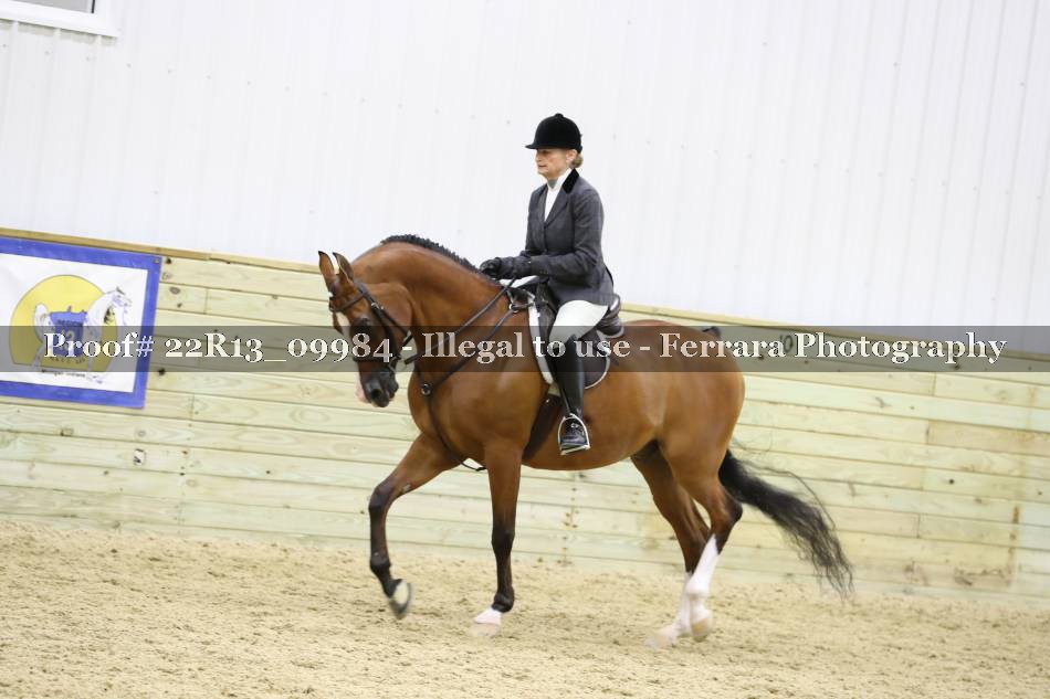 Proof 22R13_09984