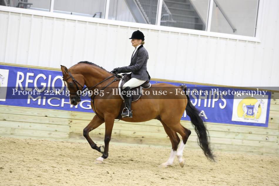 Proof 22R13_09985