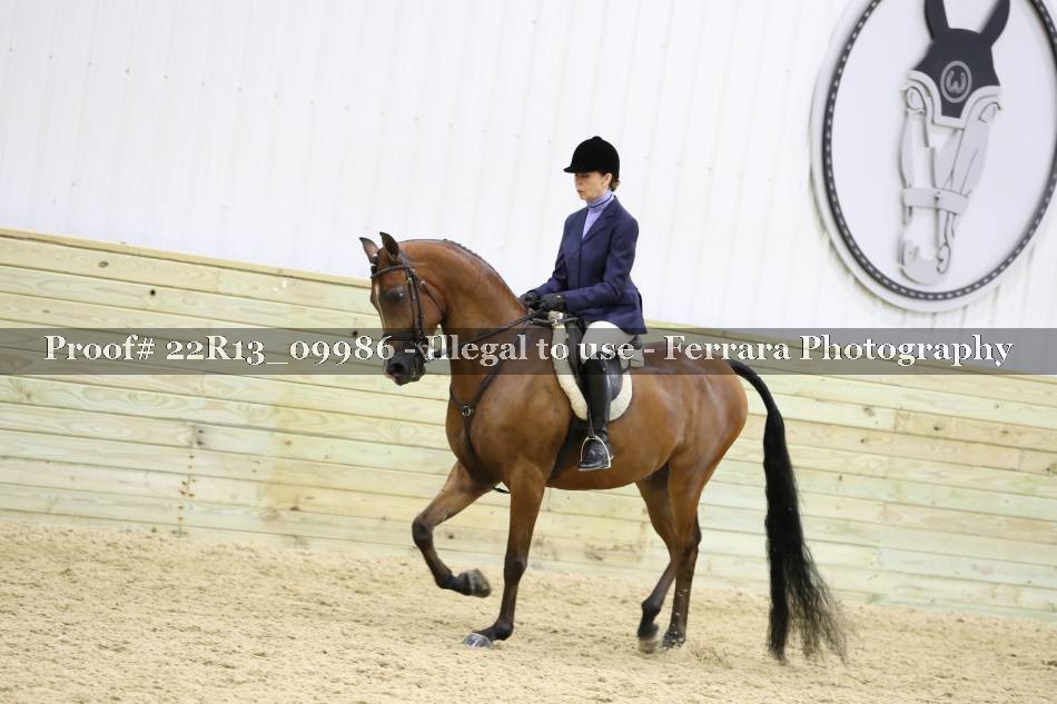 Proof 22R13_09986