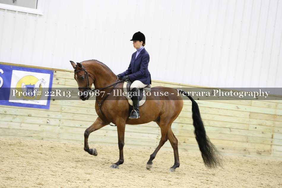 Proof 22R13_09987