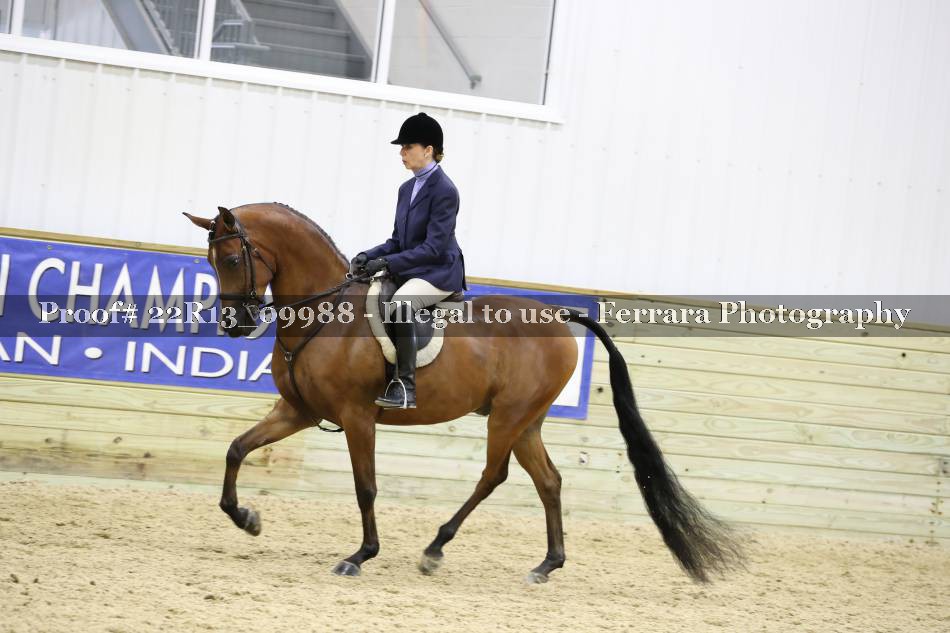 Proof 22R13_09988