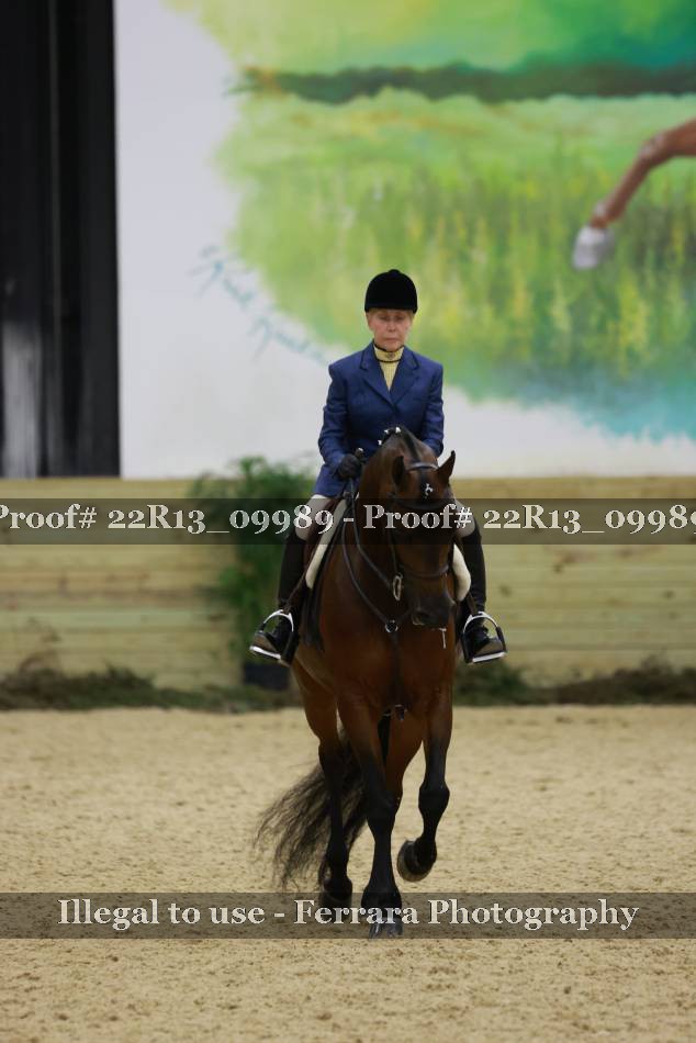 Proof 22R13_09989