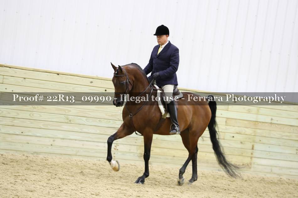 Proof 22R13_09990