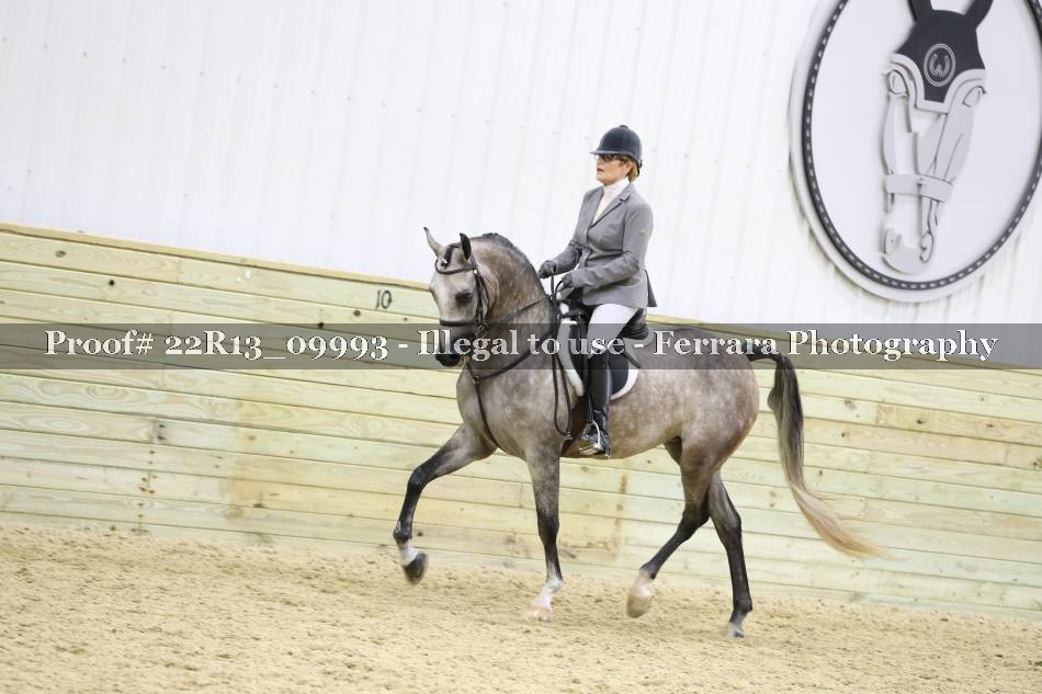 Proof 22R13_09993