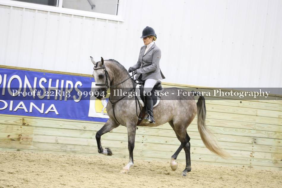 Proof 22R13_09994