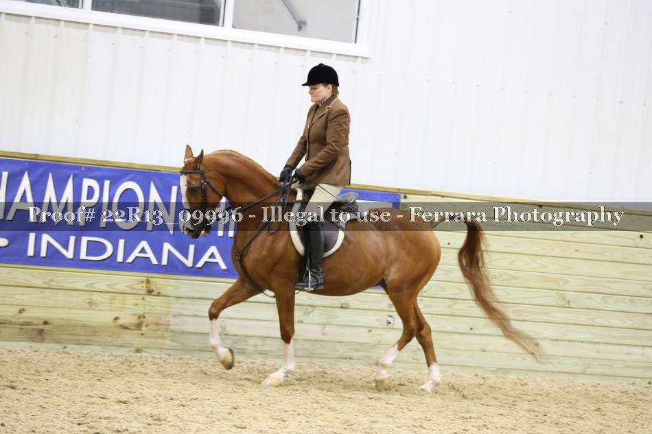 Proof 22R13_09996