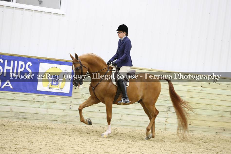 Proof 22R13_09997