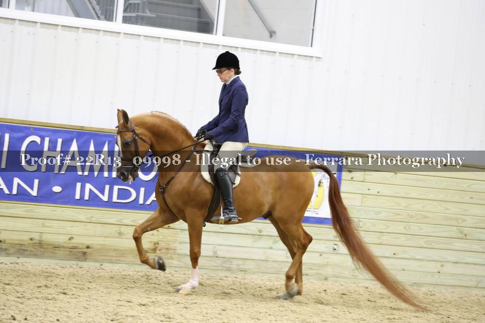 Proof 22R13_09998