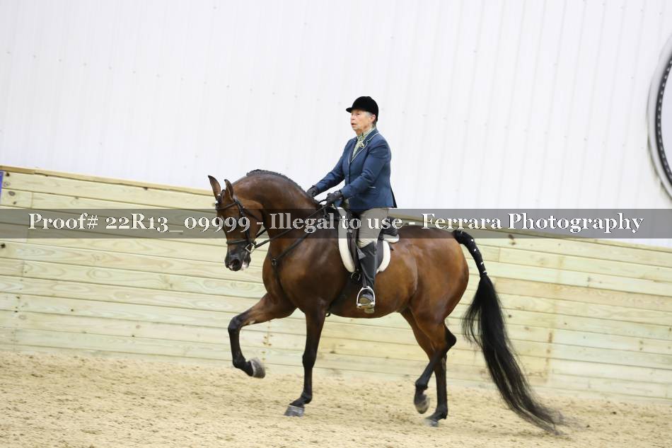 Proof 22R13_09999