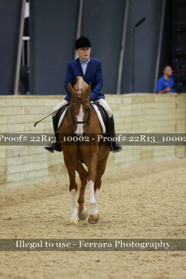 Proof 22R13_10002