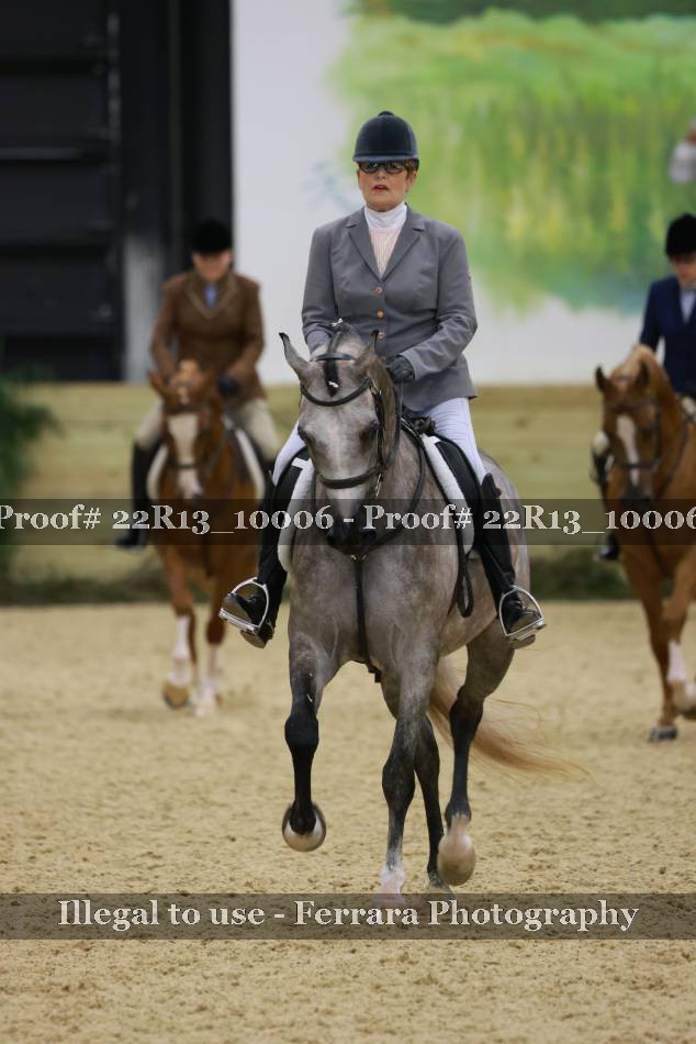 Proof 22R13_10006