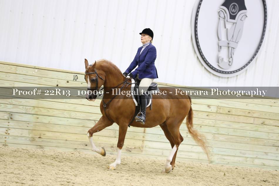 Proof 22R13_10009