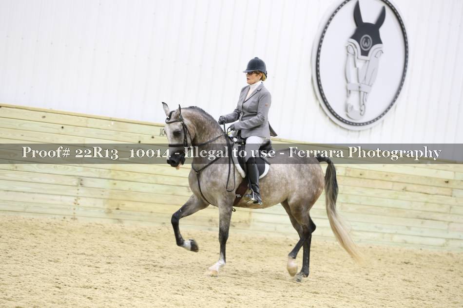 Proof 22R13_10014