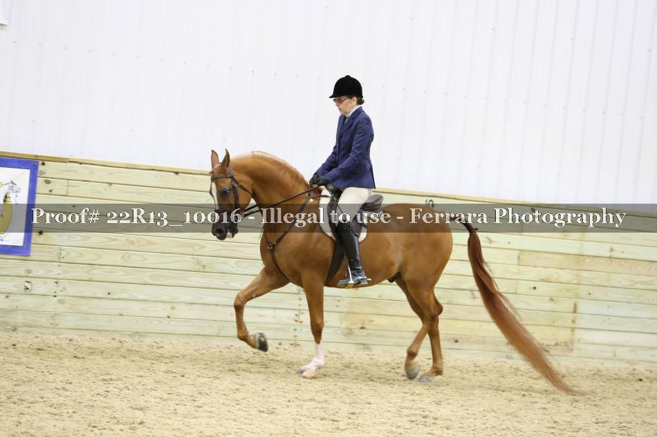 Proof 22R13_10016