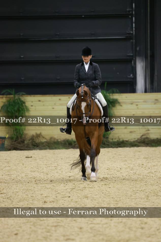 Proof 22R13_10017