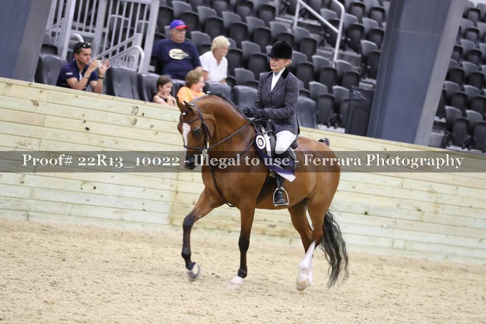 Proof 22R13_10022
