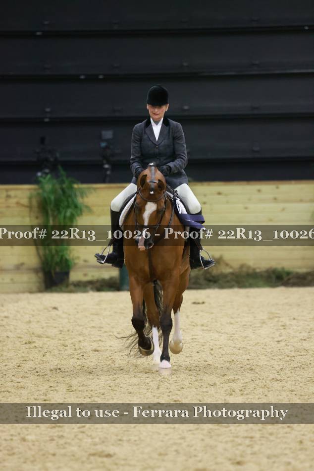 Proof 22R13_10026
