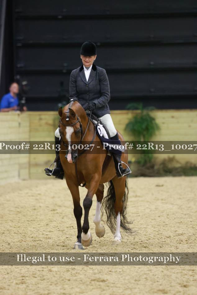 Proof 22R13_10027