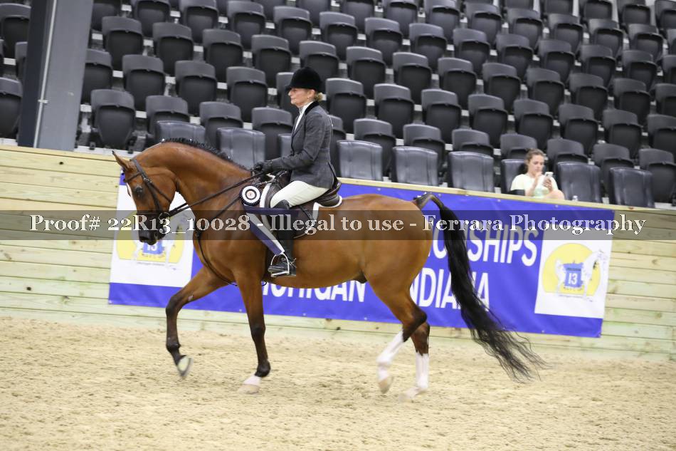 Proof 22R13_10028