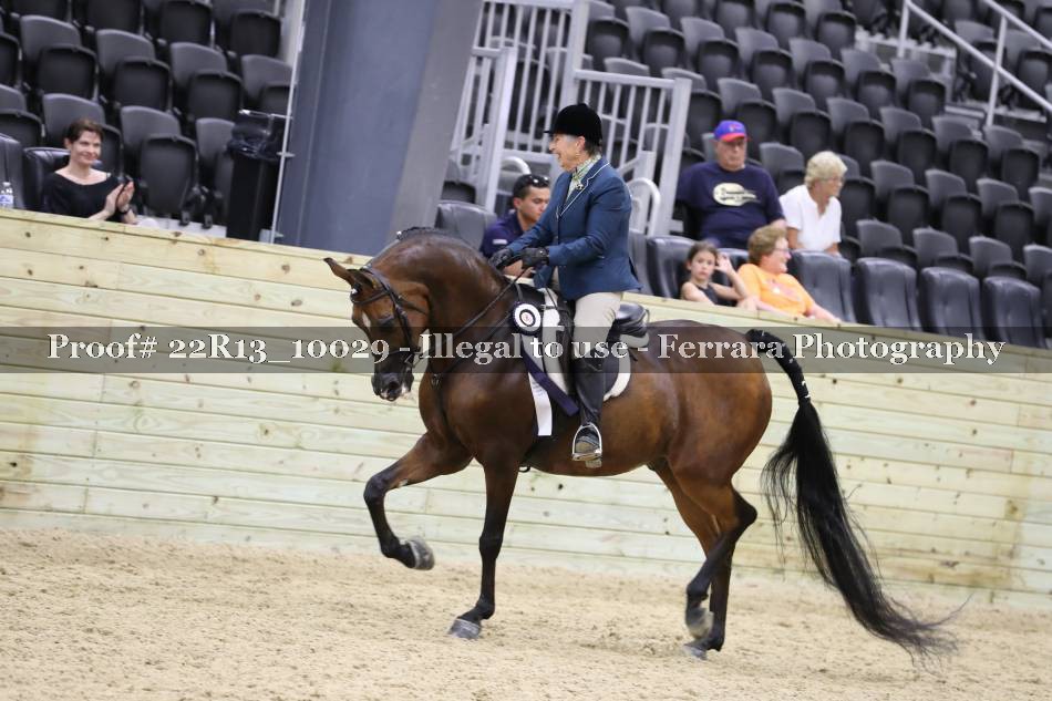 Proof 22R13_10029