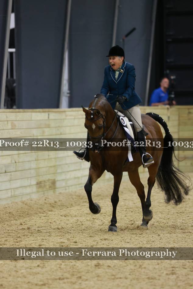 Proof 22R13_10033