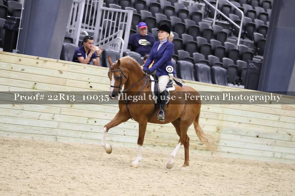 Proof 22R13_10035