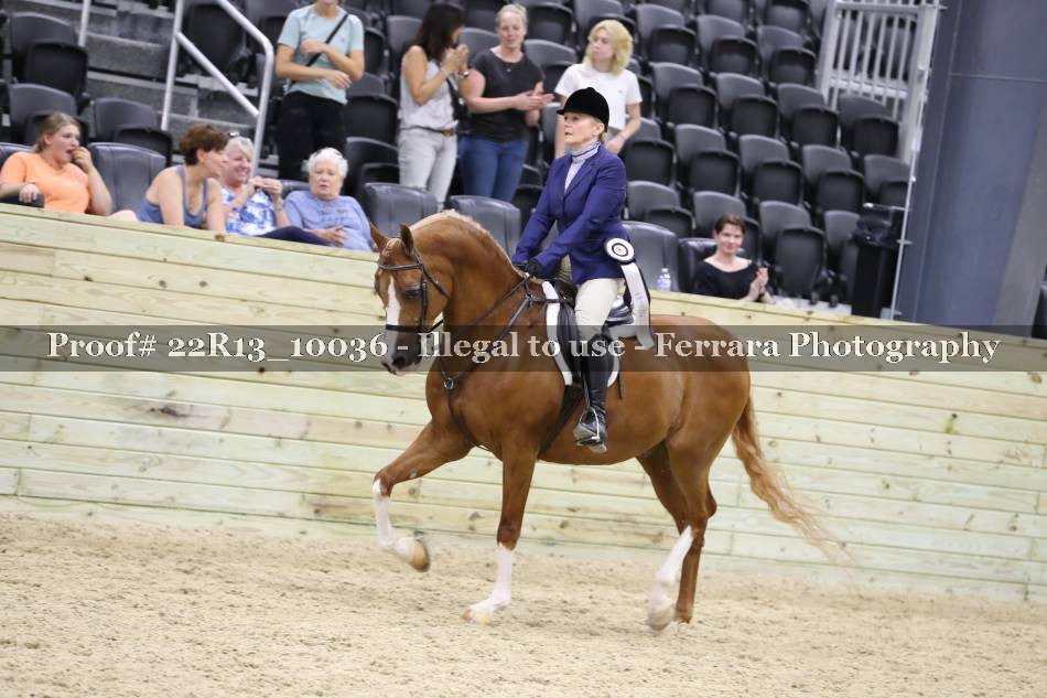 Proof 22R13_10036