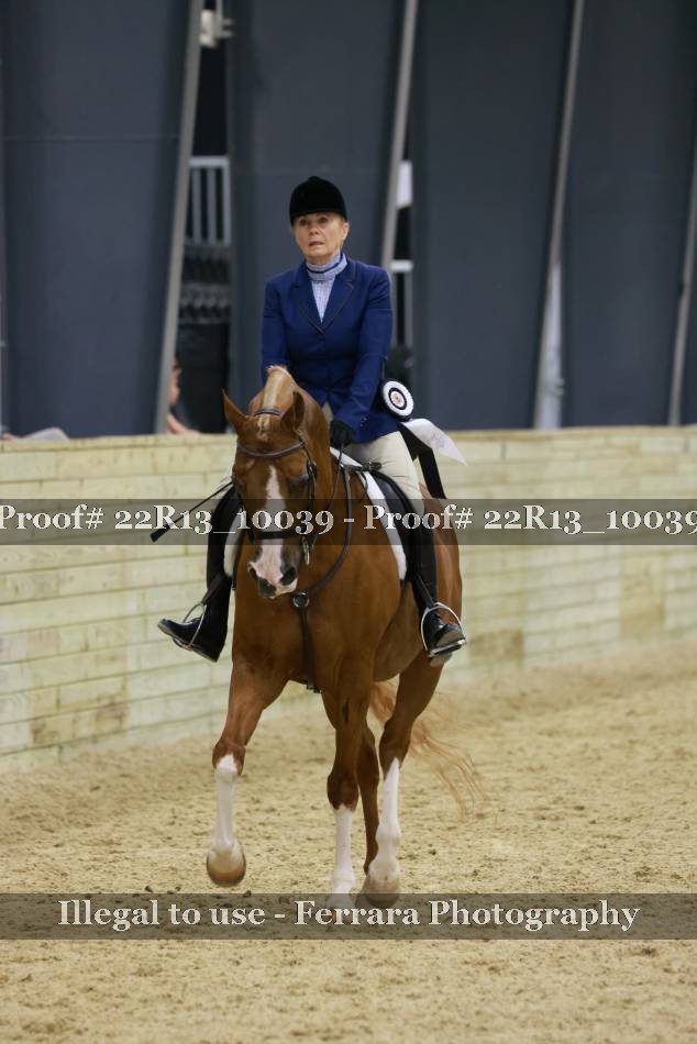 Proof 22R13_10039
