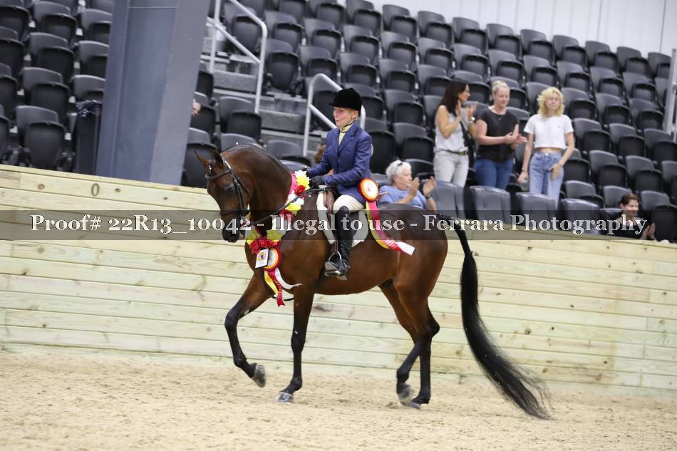 Proof 22R13_10042