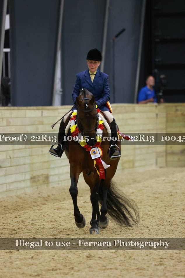 Proof 22R13_10045