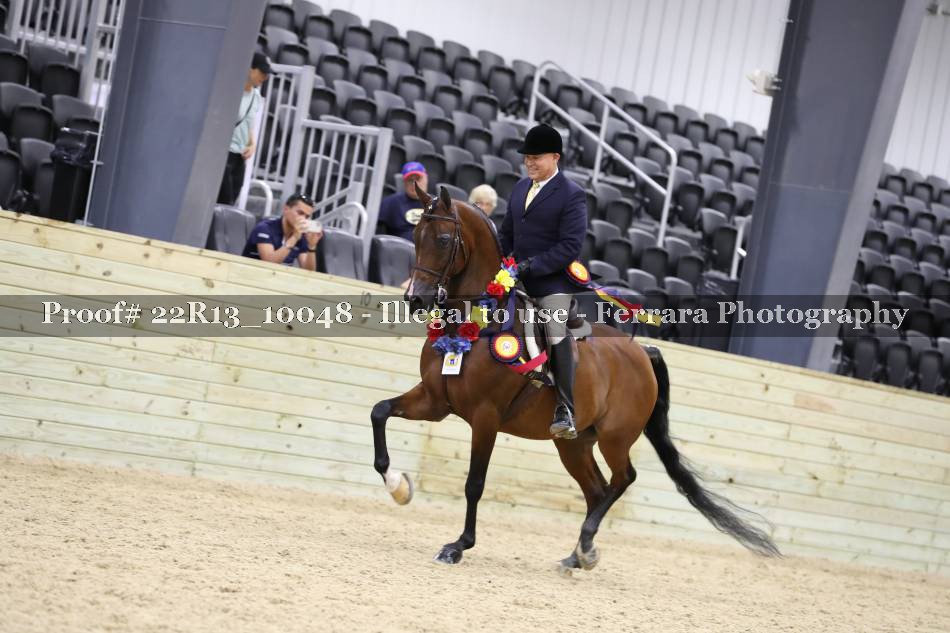Proof 22R13_10048