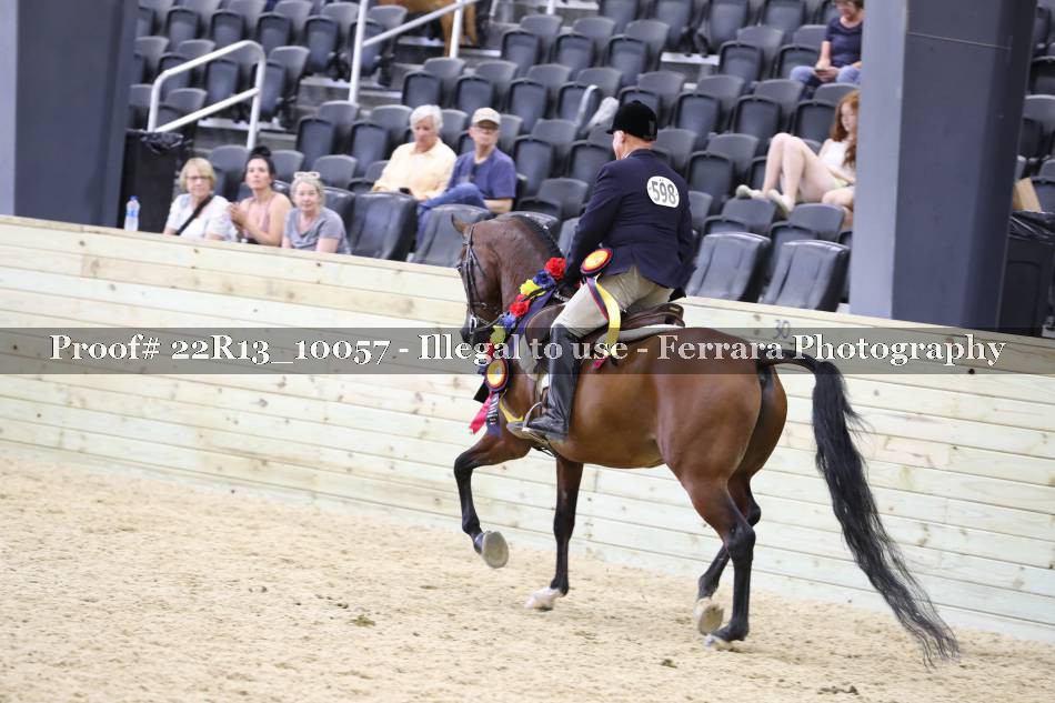 Proof 22R13_10057
