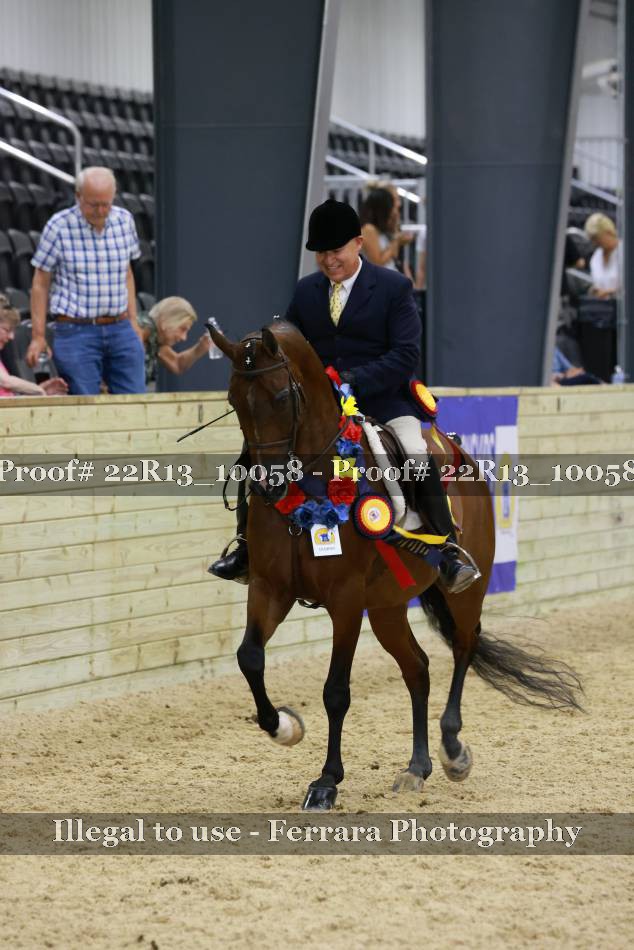 Proof 22R13_10058