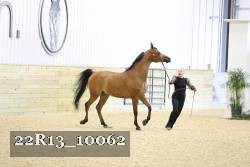 22R13_10062 proof