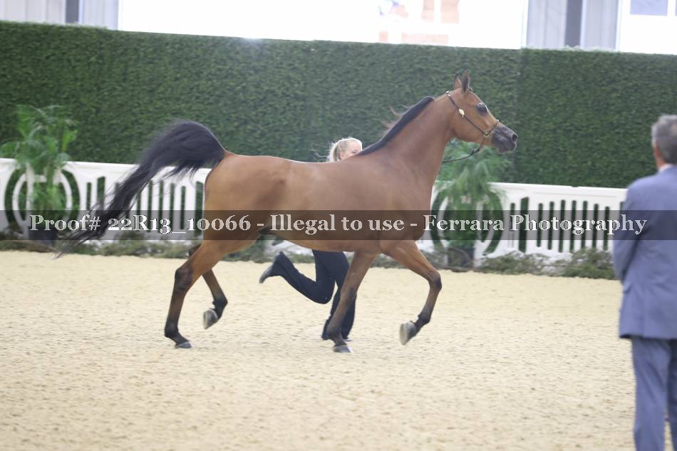 Proof 22R13_10066