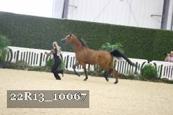 22R13_10067 proof