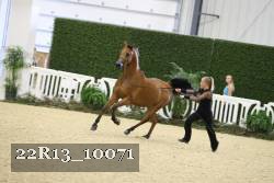 22R13_10071 proof