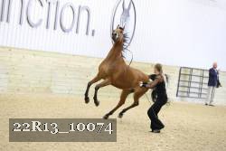 22R13_10074 proof